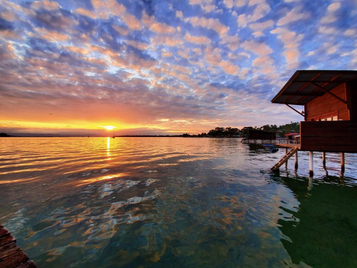 Hotel The Sea Monkey Bocas del Toro Zewnętrze zdjęcie