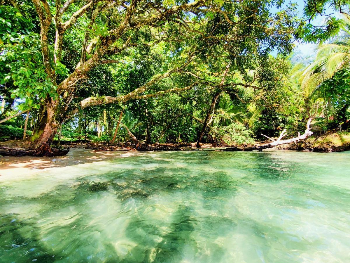 Hotel The Sea Monkey Bocas del Toro Zewnętrze zdjęcie