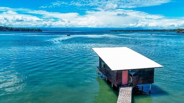 Hotel The Sea Monkey Bocas del Toro Zewnętrze zdjęcie